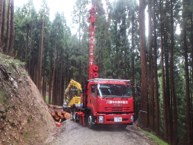 架設完了したオーストリア TST社製タワーヤーダー